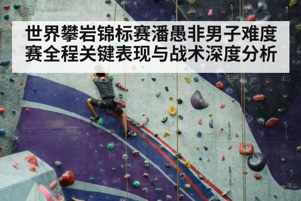 sport climbing competition wall